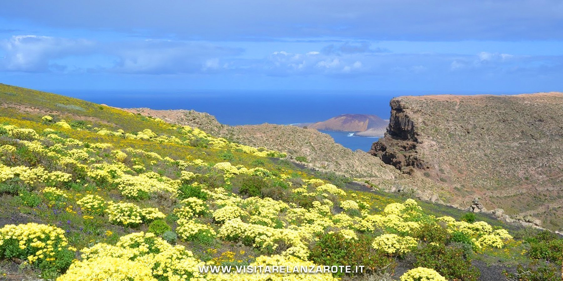 los helechos Lanzarote