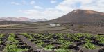 20 motivi per visitare lanzarote