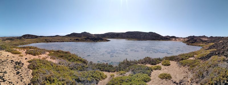 isla de lobos